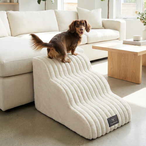 Dog on a pet ramp in a modern living room with white furniture and plants.