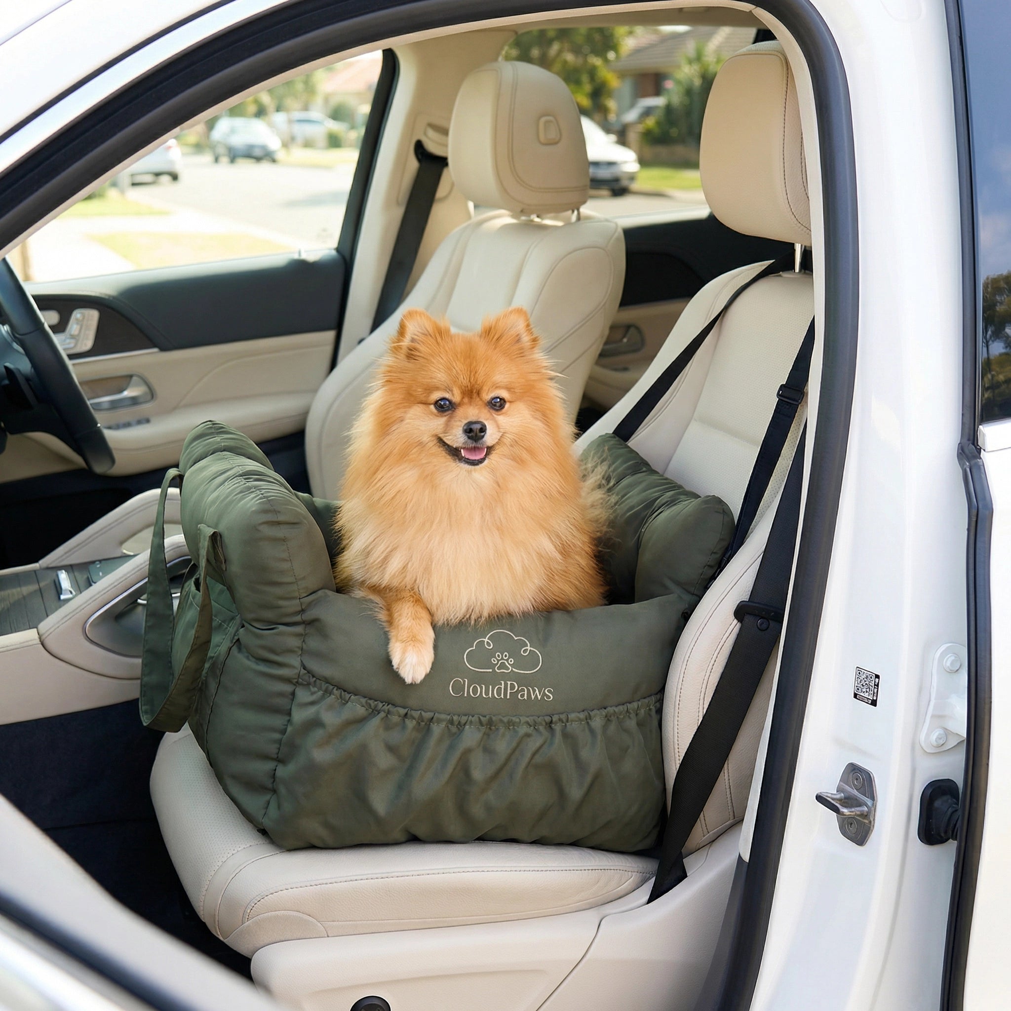 Dog sitting in a green CloudPaws pet carrier inside a car.