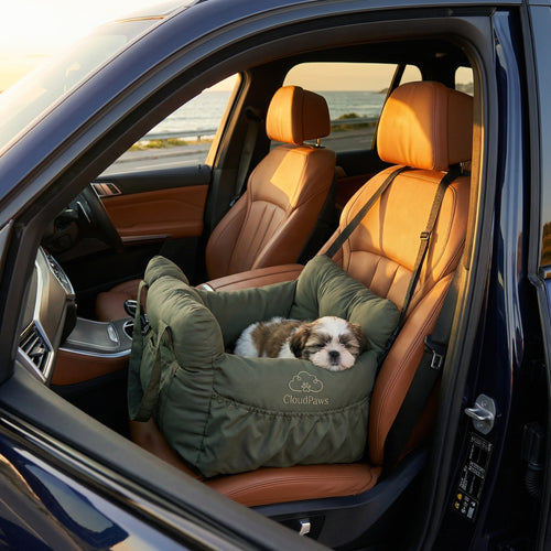 Dog in a pet seat in a car with a scenic background
