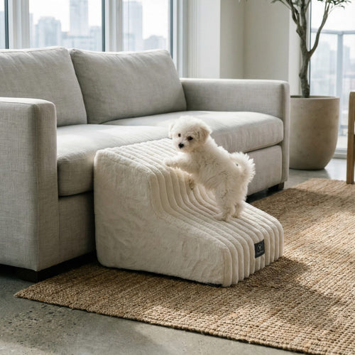 White dog on a textured ottoman in a modern living room with a cityscape view.